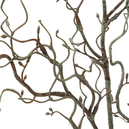 Floristik24 Ramo de salgueiro artificial com botões castanhos primavera C76cm
