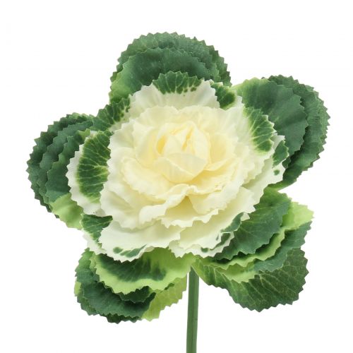 Itens Repolho artificial branco, verde 25cm 6 unidades