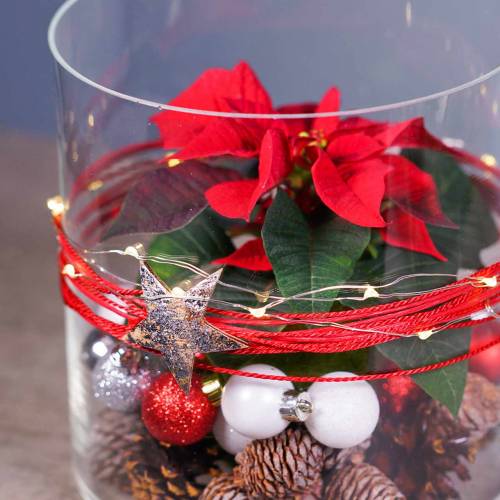 Floristik24 Estrela de coco prata 5 cm 50pcs decoração de mesa prata decoração de estrelas estrelas do advento