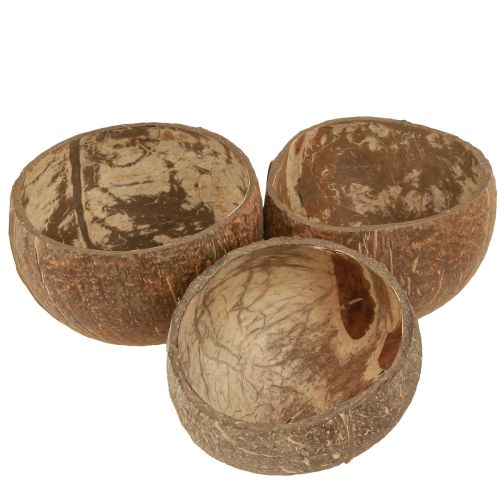 Floristik24 Tigela de coco decorativa natural tigela de coco cortada ao meio 10cm 6 un