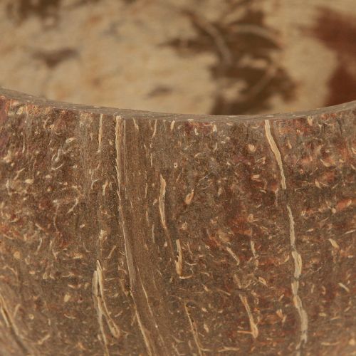 Floristik24 Tigela de coco decorativa natural tigela de coco cortada ao meio 10cm 6 un