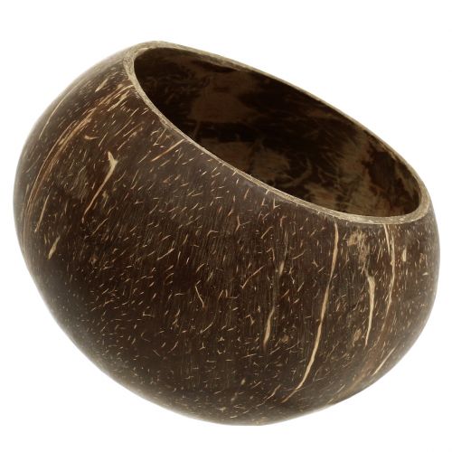 Floristik24 Cascas de coco polidas naturais 5 unidades