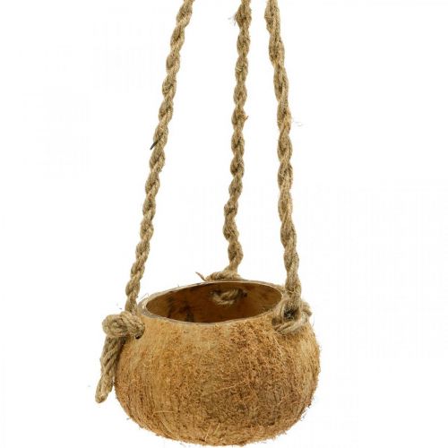 Itens Tigela de coco suspensa, tigela de planta natural, cesto suspenso Ø8cm L55cm