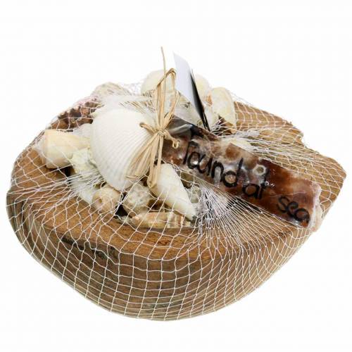 Floristik24 Decoração do Mar do Sul com coco com mexilhões 20cm 250g