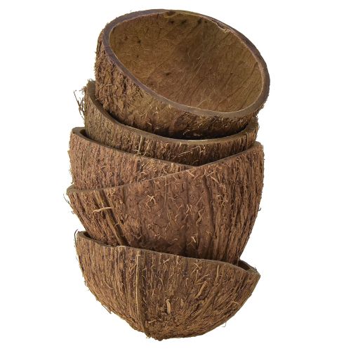 Floristik24 Decoração de tigela de coco meio coco natural Ø7-9cm 5 unidades