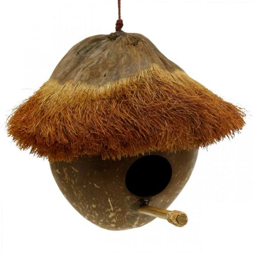 Itens Coco como caixa de nidificação, casinha de pássaros para pendurar, decoração de coco Ø16cm C 46cm