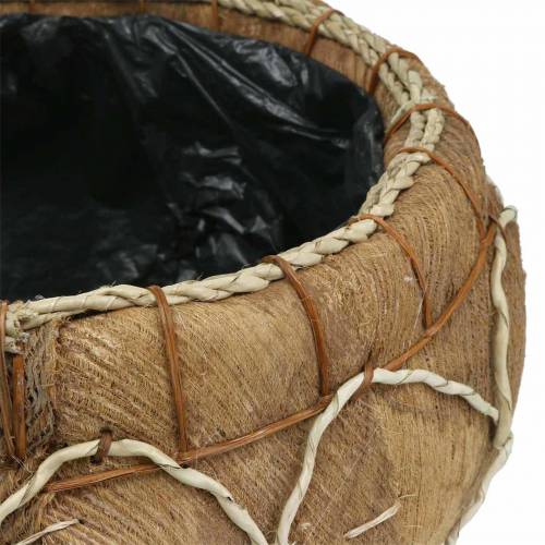 Floristik24 Plantador de coco natural Ø37 / 24cm, conjunto de 2