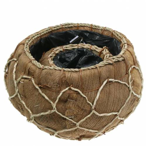 Floristik24 Plantador de coco natural Ø37 / 24cm, conjunto de 2