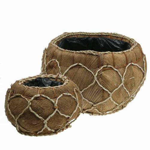 Floristik24 Plantador de coco natural Ø37 / 24cm, conjunto de 2