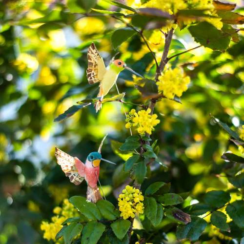 Floristik24 Beija-flor com fio 5,5cm L22cm sortido 12 unidades