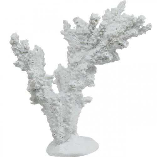 Floristik24 Decoração marítima coral branco suporte de decoração artificial 11×12cm