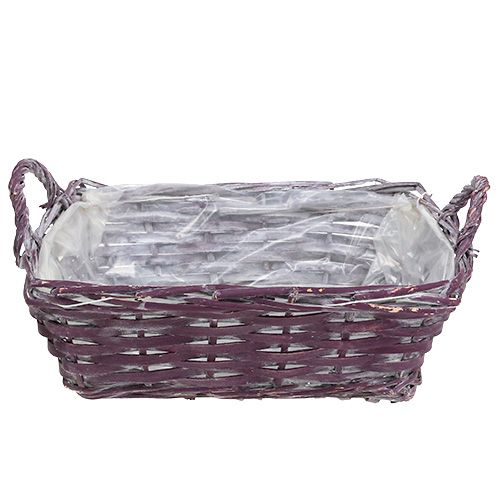 Floristik24 Cesta quadrada 29cm x 23cm Alt.10cm roxo escuro