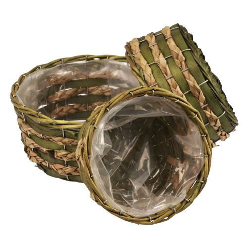 Floristik24 Cesto redondo para plantas cesto trançado madeira verde Ø26/21/18cm conjunto de 3