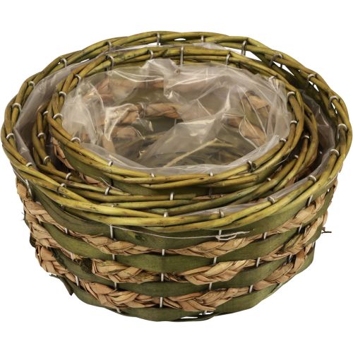 Floristik24 Cesto redondo para plantas cesto trançado madeira verde Ø26/21/18cm conjunto de 3
