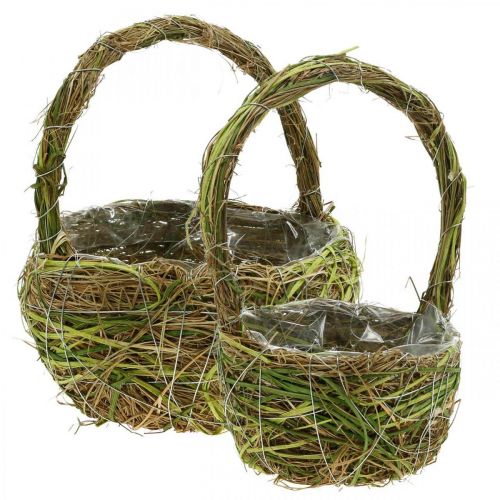 Cesto para plantas com pega cesto mola verde 14×25/18×28cm conjunto de 2
