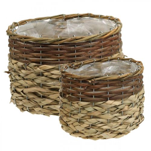 Itens Cesta de vime Natural Planta de vime Tigela Natural L30/22cm H20/17cm Conjunto de 2