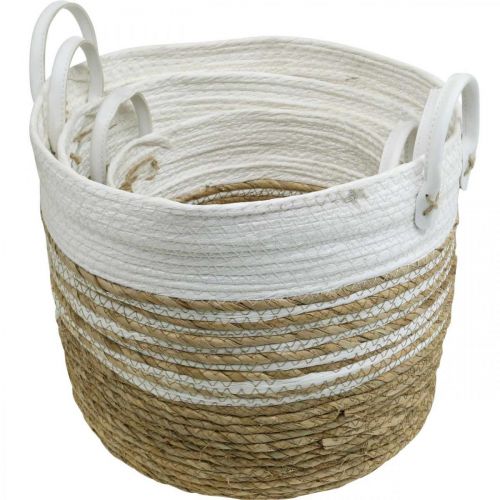 Floristik24 Cesto para plantar, utensílio com asas, organizador branco, natural Ø32/28/23cm H30/25/19cm conjunto de 3