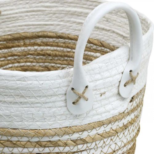 Floristik24 Cesto para plantar, utensílio com asas, organizador branco, natural Ø32/28/23cm H30/25/19cm conjunto de 3