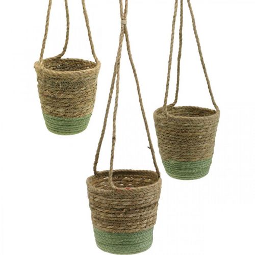 Itens Cesto suspenso, cesto natural, floreira para pendurar natural, verde Ø19/17/15cm conjunto de 3