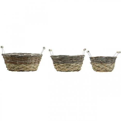 Itens Cesto para plantas com asas, recipiente decorativo para a Páscoa, cesto natural, shabby chic branco lavado Ø28/24/19cm H12/11/10cm conjunto de 3