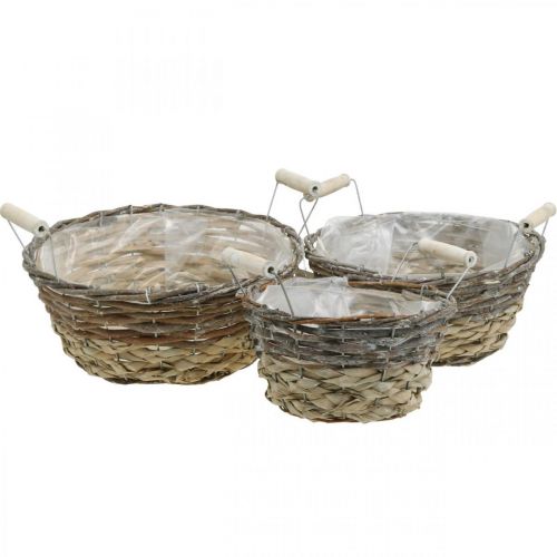 Floristik24 Cesto para plantas com asas, recipiente decorativo para a Páscoa, cesto natural, shabby chic branco lavado Ø28/24/19cm H12/11/10cm conjunto de 3