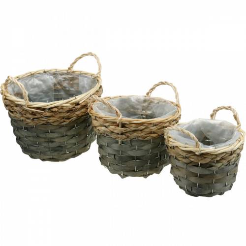 Floristik24 Cesta para plantas, cesta de vime para plantio, cesta de flores redonda natural, cinza Ø29/23,5/18cm conjunto de 3