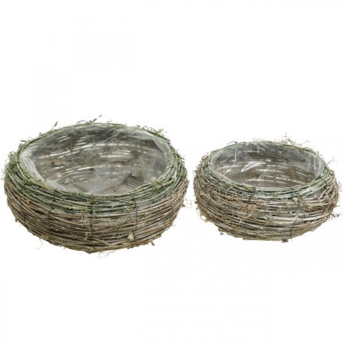 Floristik24 Cesto para plantas redondo cipó bicolor, madeira Ø18 / 25cm, conjunto de 2