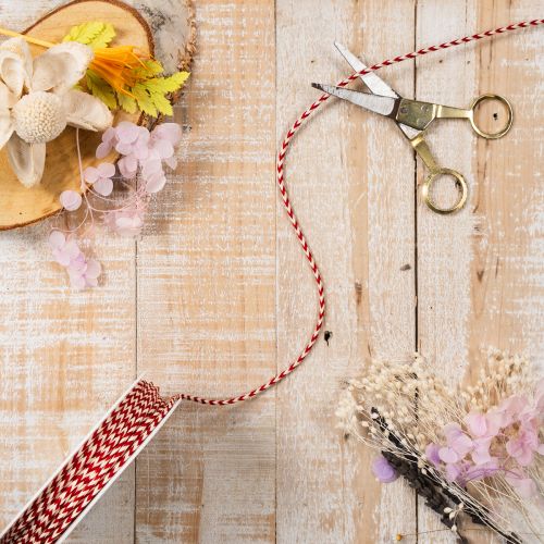 Cordão em ziguezague em rolo para artesanato e embalagens, 3 mm de diâmetro, 20 m de comprimento. | Floristik24.pt