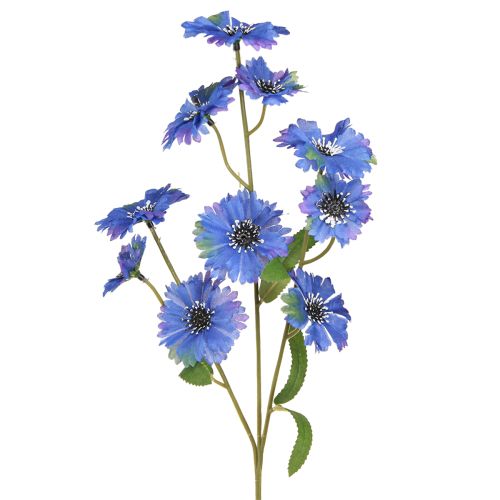 Floristik24 Flores artificiais de centáurea em azul 55 cm 6 unidades