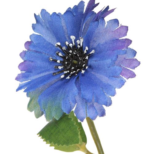 Floristik24 Flores artificiais de centáurea em azul 55 cm 6 unidades