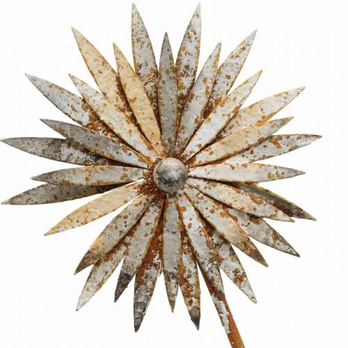 Floristik24 Plugue de jardim pátina de centáurea de metal branco Ø10 / 15cm A66cm