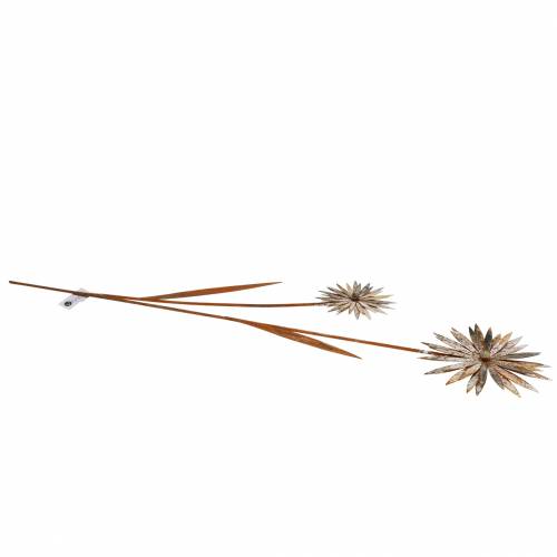 Floristik24 Plugue de jardim pátina de centáurea de metal branco Ø10 / 15cm A66cm