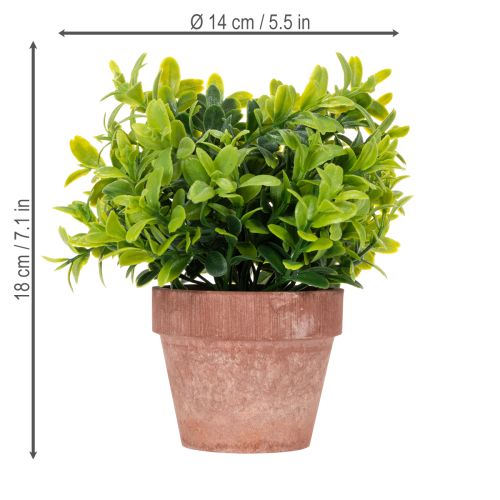 Itens Planta artificial em vaso com textura realista para uso e decoração de interiores, 18 cm, 3 peças.
