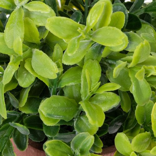 Itens Planta artificial em vaso com textura realista para uso e decoração de interiores, 18 cm, 3 peças.