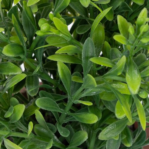 Itens Planta artificial em vaso com textura realista para uso e decoração de interiores, 18 cm, 3 peças.