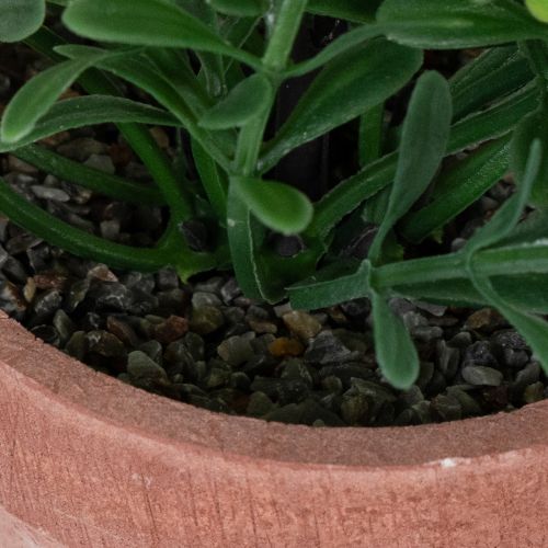 Itens Planta artificial em vaso com textura realista para uso e decoração de interiores, 18 cm, 3 peças.