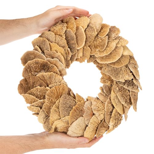 Guirlanda de fungos em forma de árvore, cor natural, para decoração de porta ou parede, 37 cm | Floristik24.pt