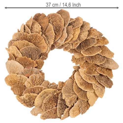 Guirlanda de fungos em forma de árvore, cor natural, para decoração de porta ou parede, 37 cm | Floristik24.pt