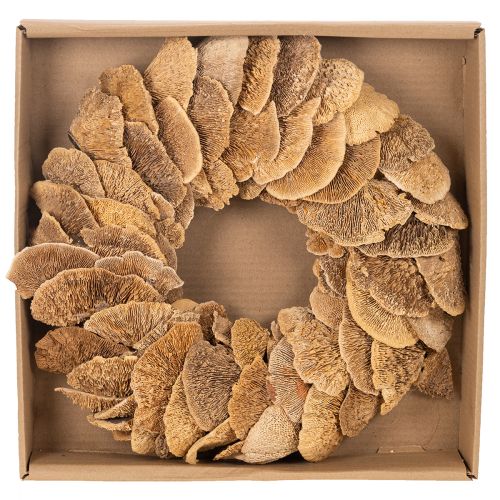 Guirlanda de fungos em forma de árvore, cor natural, para decoração de porta ou parede, 37 cm | Floristik24.pt