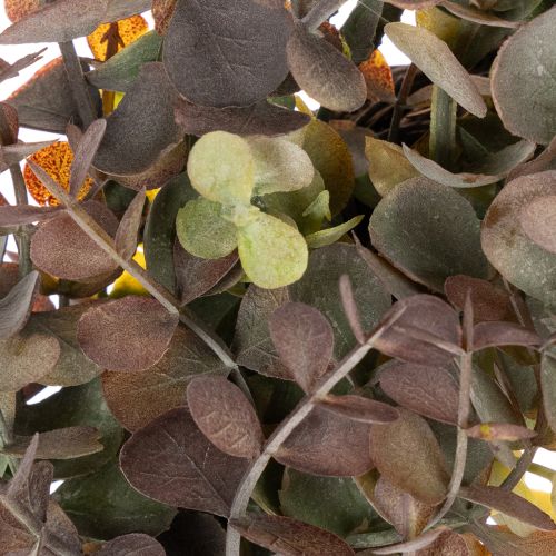 Coroa artificial de eucalipto, decoração de outono, redonda, 45 cm | Floristik24.pt