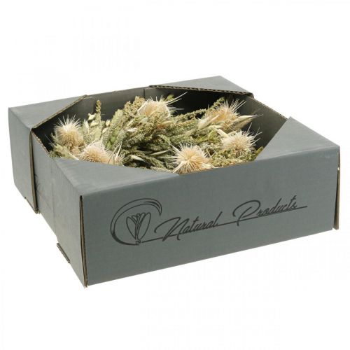 Floristik24 Cartão guirlanda de flores secas grão de cardo Ø28cm