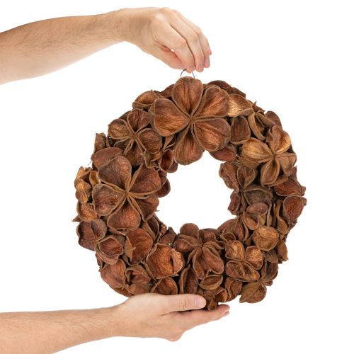 Guirlanda de lótus seca, guirlanda decorativa para porta, 35 cm | Floristik24.pt
