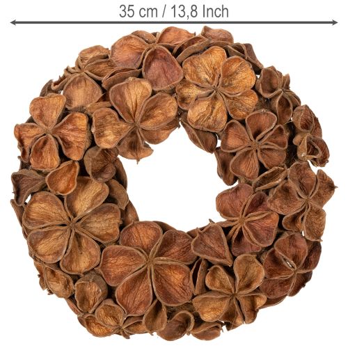 Guirlanda de lótus seca, guirlanda decorativa para porta, 35 cm | Floristik24.pt