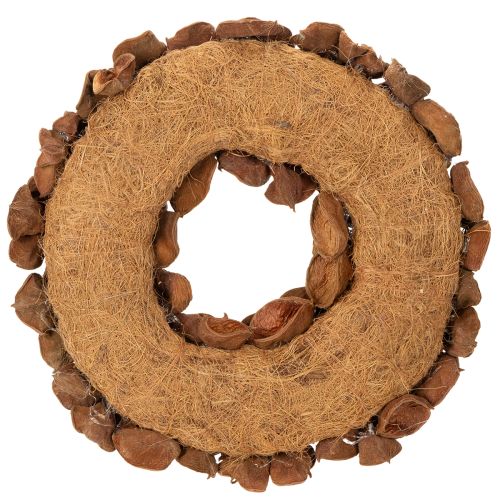 Guirlanda de lótus seca, guirlanda decorativa para porta, 35 cm | Floristik24.pt