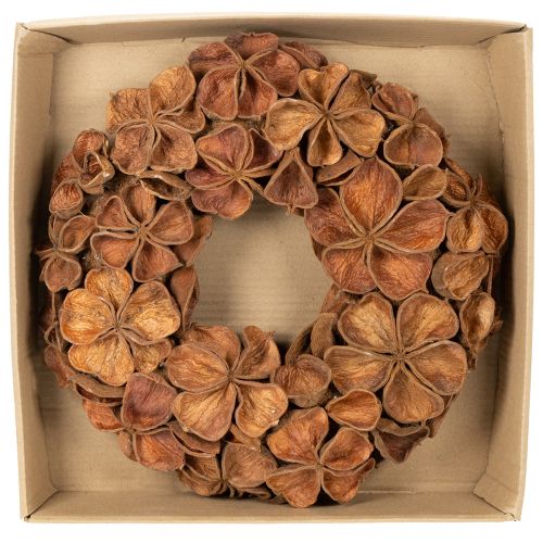 Guirlanda de lótus seca, guirlanda decorativa para porta, 35 cm | Floristik24.pt