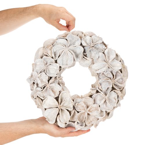 Guirlanda com Flor de Lótus, Decoração Natural, Flores Secas, 35cm | Floristik24.pt