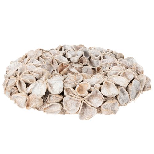 Guirlanda com Flor de Lótus, Decoração Natural, Flores Secas, 35cm | Floristik24.pt