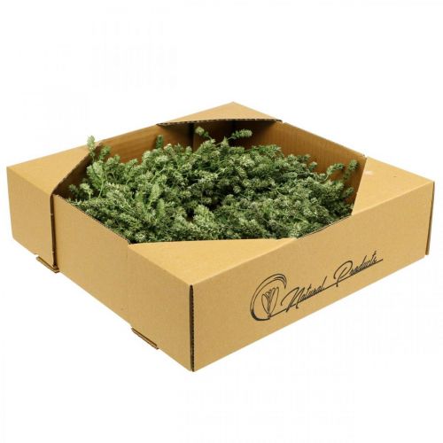 Itens Guirlanda de natal guirlanda de flores verdes secas erva de linho Ø34cm
