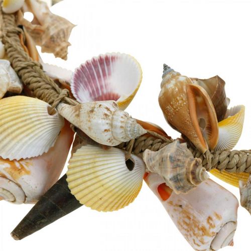 Floristik24 Coroa decorativa de conchas e caracóis decoração marítima natural Ø30cm