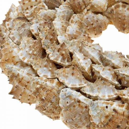 Floristik24 Deco grinalda caracóis decoração marítima porta grinalda caracóis Ø25cm